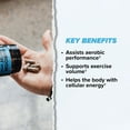 thumbnail image 4 of ONNIT Shroom Tech Sport Pre-Workout Energy Support Supplement Capsules, 84 ct., 4 of 9