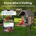 thumbnail image 5 of Birdfy Smart Metal Bird Feeder with Built-in Solar Panel and AI Camera, 5 of 8