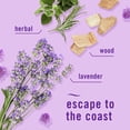 thumbnail image 7 of Febreze Plugs Air Freshener Refills, Mediterranean Lavender + Downy April Fresh, 5 refills, 7 of 7