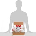 thumbnail image 3 of Alder Creek Gift Baskets Thinking of You Gift Box, 3 of 3