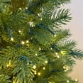 thumbnail image 6 of Member's Mark 7.5' Norway Fir Pre-Lit Christmas Tree, 6 of 9