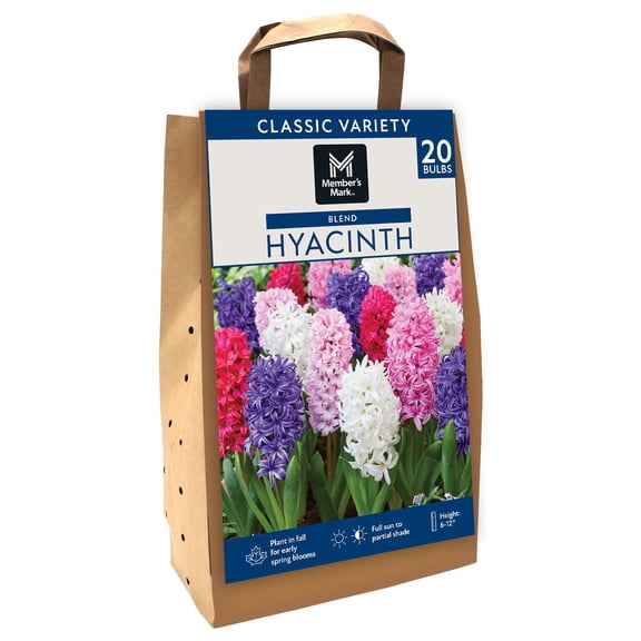 Member's Mark Hyacinth Blend Dormant Bulbs, 20pk