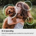 thumbnail image 7 of SAMSUNG 77” Class S84FD Series 4K OLED Smart TV, 7 of 13