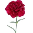 thumbnail image 4 of Member's Mark Carnations, choose color and stem count, 4 of 7
