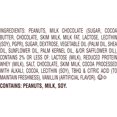 thumbnail image 3 of REESE'S Milk Chocolate Peanut Butter Eggs Easter Candy 65 pcs., 3 of 9