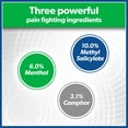 thumbnail image 6 of Salonpas Pain-Relieving Patch, 140 ct., 6 of 6