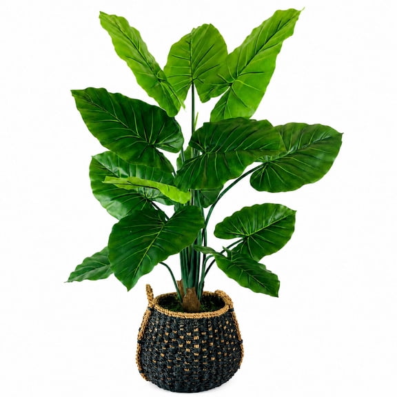 Artificial 54" Taro in Handwoven Basket - Natural or Bi-Color Baskets