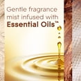 thumbnail image 8 of Glade Automatic Spray Air Freshener Refills, Cashmere Woods, 4 ct., 8 of 12