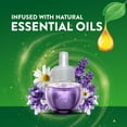 thumbnail image 7 of Air Wick Plug In Scented Oil Air Fresheners,  Lavender & Chamomile, 2 warmers + 8 refills, 7 of 12