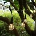 thumbnail image 5 of Honeywell 48' LED Dual Filament Vintage String Lights, 5 of 5