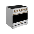 thumbnail image 3 of Thor Kitchen Gordon Ramsay Series 36-Inch Professional Electric Range, 3 of 8
