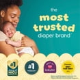 thumbnail image 8 of Pampers Swaddlers Ultra Diapers, Sizes Newborn-8, 8 of 14