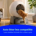 thumbnail image 4 of Fresh Step, Extreme Clumping Cat Litter with Febreze, Mountain Spring Scent, 42 lbs., 4 of 13