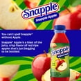 thumbnail image 5 of Snapple Juice Drink Variety Pack, 20 fl. oz. bottles, 24 pk., 5 of 14
