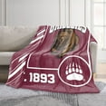 thumbnail image 2 of Logo Brands Montana Grizzlies 60"x70" Super Plush Blanket, 2 of 6