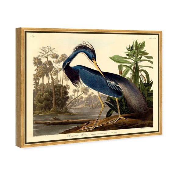 Louisiana Heron Traditional Canvas Print by Oliver Gal Prints