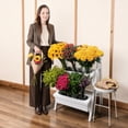 thumbnail image 4 of Member's Mark DIY Floral Bouquet Bar, 144 stems, choose variety, 4 of 7