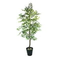 thumbnail image 1 of Faux 72" Olive Tree in Black Plastic Pot, 1 of 5