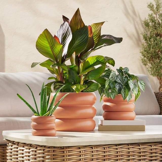 Member's Mark Bubble Ceramic Planter & Saucer, Set of 3