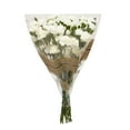 thumbnail image 2 of Member's Mark Mini Carnation, Assorted, 20 stems, 2 of 5