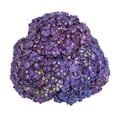 thumbnail image 3 of Member's Mark Novelty Hydrangeas, color and variety may vary, 3 of 5