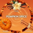 thumbnail image 6 of Air Wick Plug In Scented Oil Air Freshener, Pumpkin Spice, 1 Warmer + 6 Refills, 6 of 10