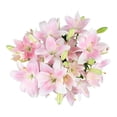 thumbnail image 1 of Member's Mark LA Hybrid Lilies, choose color and stem count, 1 of 8