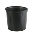 thumbnail image 3 of Costa Farms 10" Basic Foliage Plant in Grower Pot, 3 of 9
