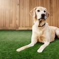 thumbnail image 3 of Select Surfaces Premium Prairie Artificial Grass - Assorted Sizes, 3 of 7