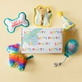thumbnail image 3 of Let's Pawty Birthday Box Dog Toy Bundle, 5-Piece Set White, 3 of 9