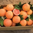 thumbnail image 5 of Texas Grapefruits, 8 lbs., 5 of 6