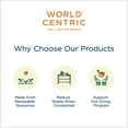 thumbnail image 5 of World Centric TPLA Compostable Plant-Based Spoons, 6" 250 ct., 5 of 5