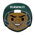 thumbnail image 1 of Logo Brands Hawaii Rainbow Warriors Puff Pillow, 1 of 5