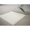thumbnail image 6 of Member's Mark Commercial Carpet Cleaner Concentrate, Choose Pack Size, 6 of 6