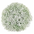thumbnail image 1 of Member's Mark White Gypsophila, choose stem count, 1 of 6