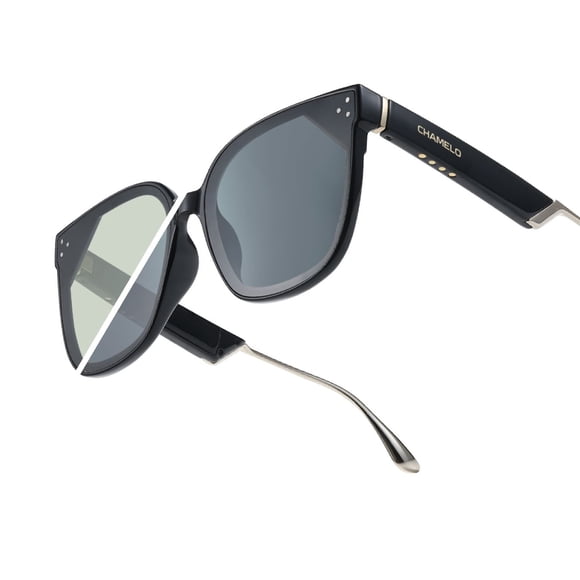 Chamelo Veil Slider (Glossy Black Frame / Smoke Lens)
