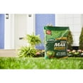 thumbnail image 3 of Scotts Green Max Lawn Food FL, 42.42 lb., 3 of 7