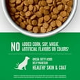 thumbnail image 5 of Member's Mark™ Healthy Weight Chicken & Vegetables Adult Dry Dog Food, 30 lbs., 5 of 6