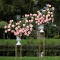 thumbnail image 6 of Member's Mark Ecuadorian Premium Roses, choose color variety and stem count, 6 of 6