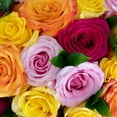 thumbnail image 2 of Member's Mark Rainbow Bright Mother's Day Vase Arrangement, 24 stems, 2 of 3
