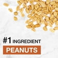 thumbnail image 4 of KIND Max Crispy Protein Bars, Chocolate Peanut Butter, 14 ct., 4 of 4