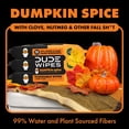 thumbnail image 4 of DUDE Wipes XL Flushable Wipes, Dumpkin Spice, 8 ct., 384 wipes, 4 of 8