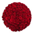 thumbnail image 1 of Member's Mark Ecuadorian Premium Roses, choose color variety and stem count, 1 of 9