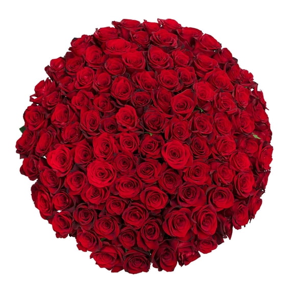 Member's Mark Ecuadorian Premium Roses, choose color variety and stem count