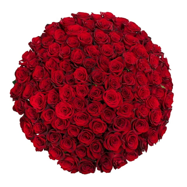 Member's Mark Ecuadorian Premium Roses, choose color variety and stem count