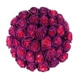 thumbnail image 2 of Member's Mark Farm Fresh Velvet Roses, choose color and stem count, 2 of 9