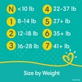 thumbnail image 9 of Pampers Swaddlers Diapers (Choose Your Size), 9 of 10