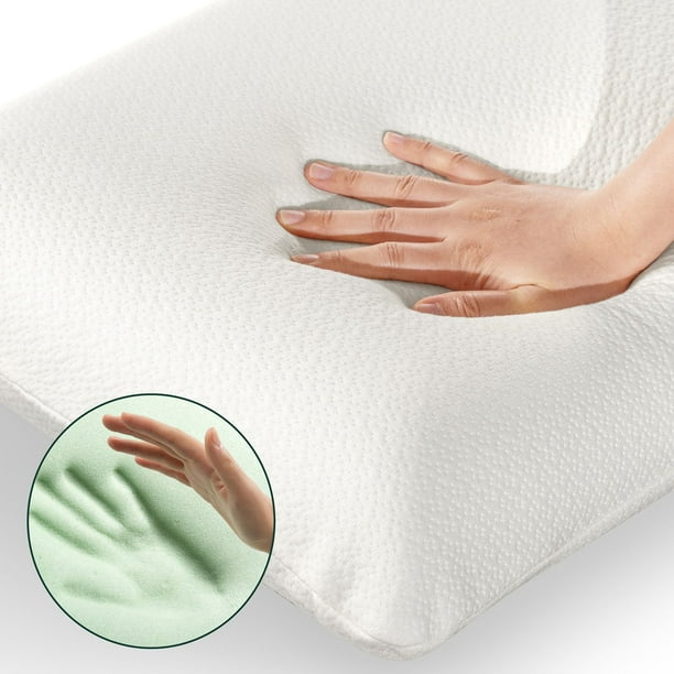Zinus Night Therapy Green Tea Memory Foam Pillow With Tencel Cover