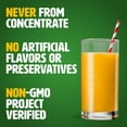 thumbnail image 3 of Tropicana Pure Premium Orange Juice No Pulp, 11 fl. oz., 12 pk., 3 of 8