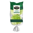 thumbnail image 2 of Iceberg Lettuce, 2 heads, 2 of 6